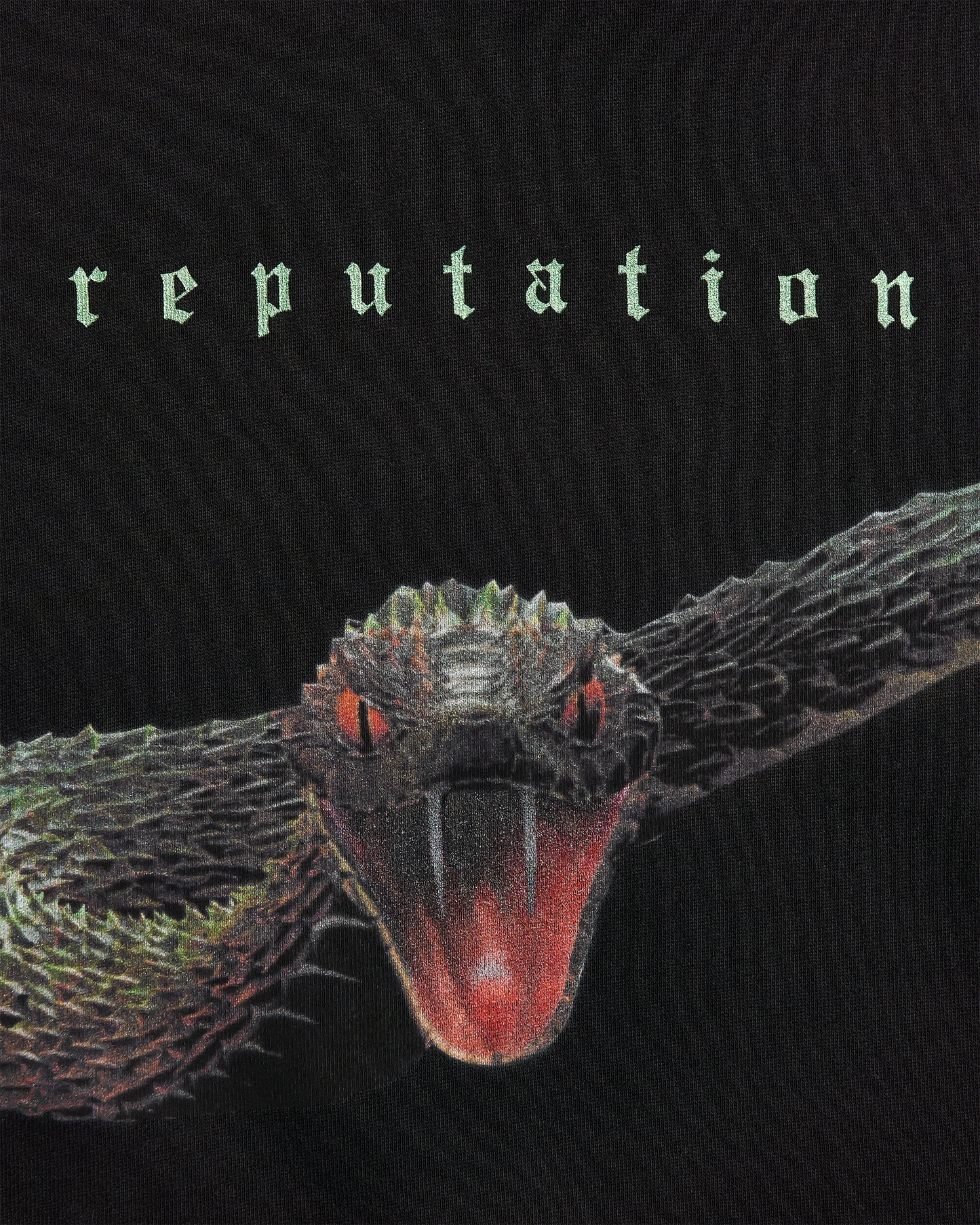Reputation Album Snake Hoodie