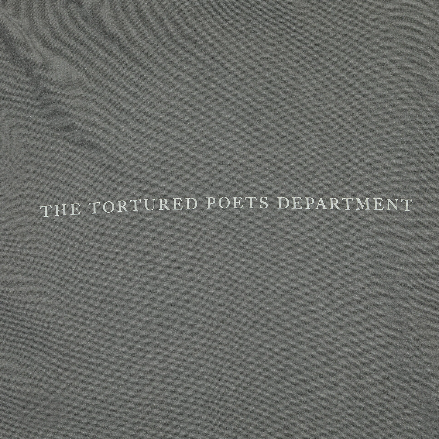 The Tortured Poets Department Gray Photo Long Sleeve T-Shirt